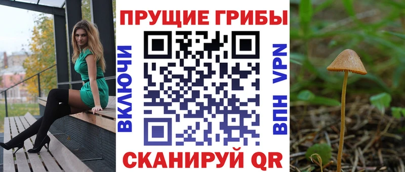 дарнет шоп  Пенза  MEGA маркетплейс  Галлюциногенные грибы Psilocybe 