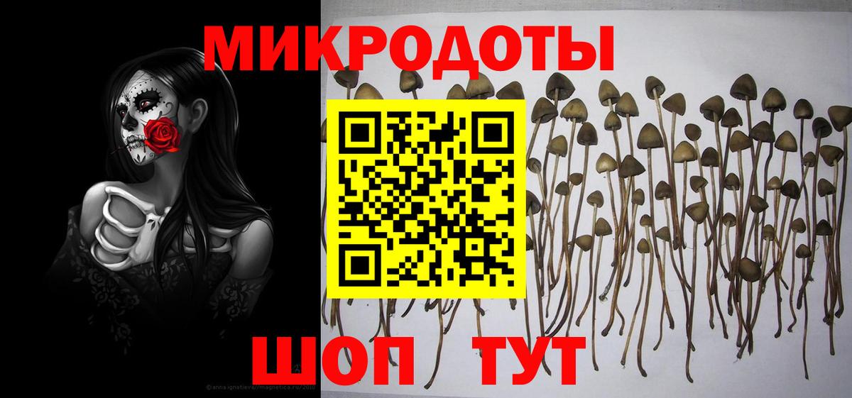Пенза  Псилоцибиновые грибы MAGIC MUSHROOMS  Вход с VPN 