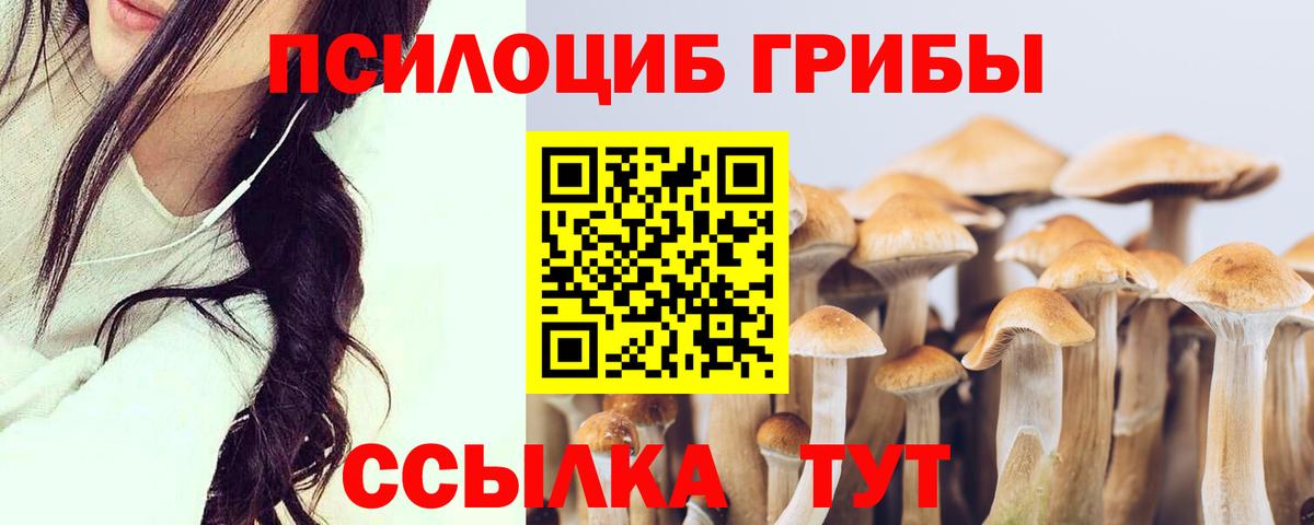 Галлюциногенные грибы Cubensis Пенза